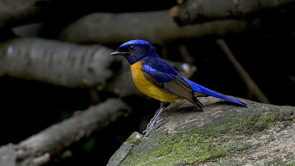 IMGP8630副本.jpg