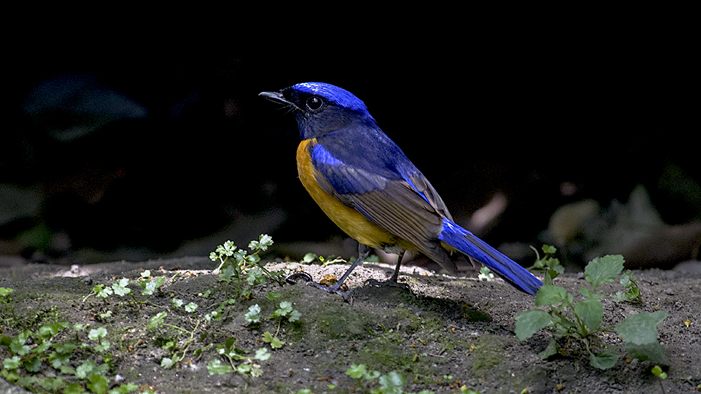 IMGP8631副本.jpg
