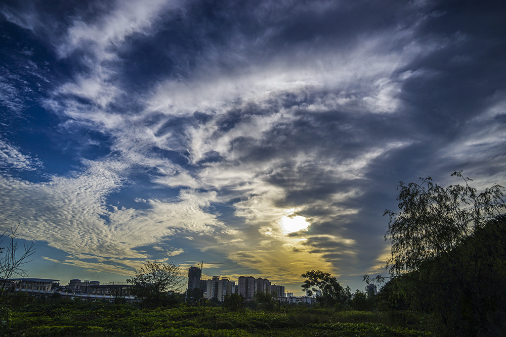DSC01773副本.jpg