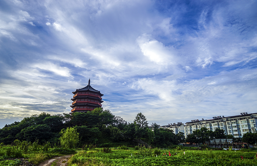 DSC01777副本.jpg