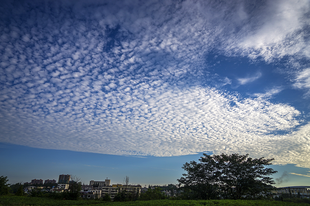 DSC01781副本.jpg