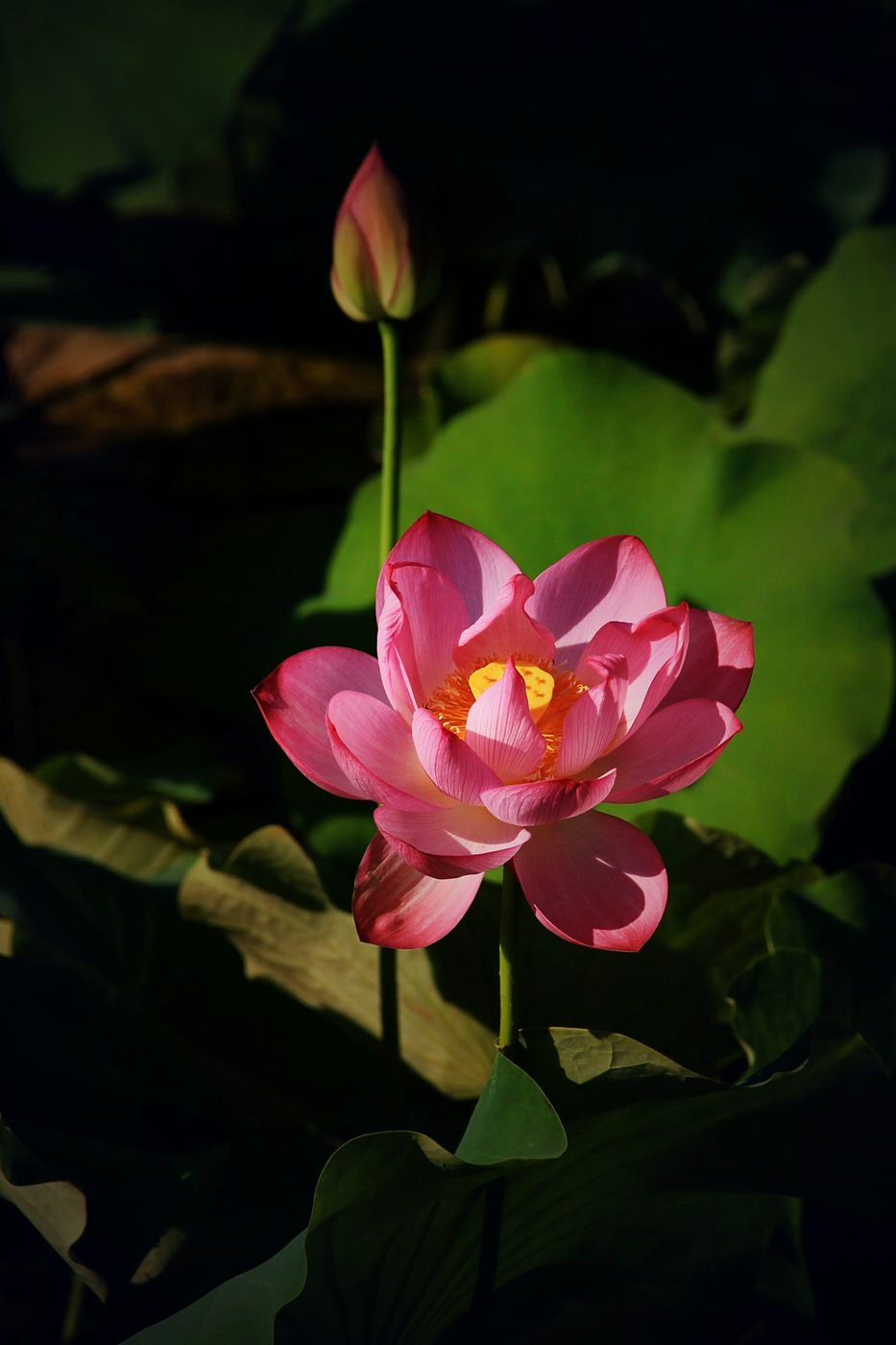 IMG_5186_副本.jpg