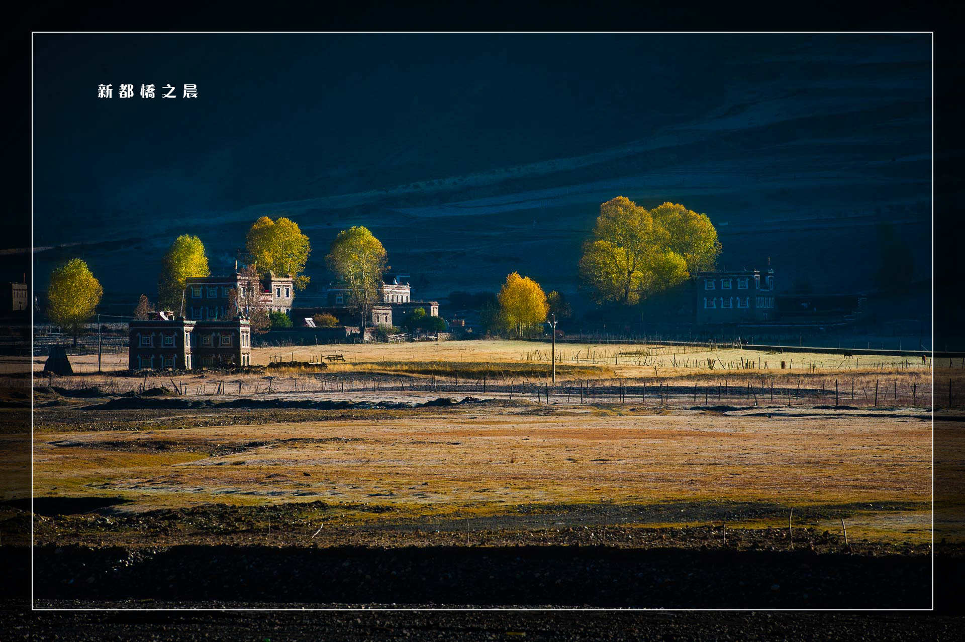 D70_0787.jpg