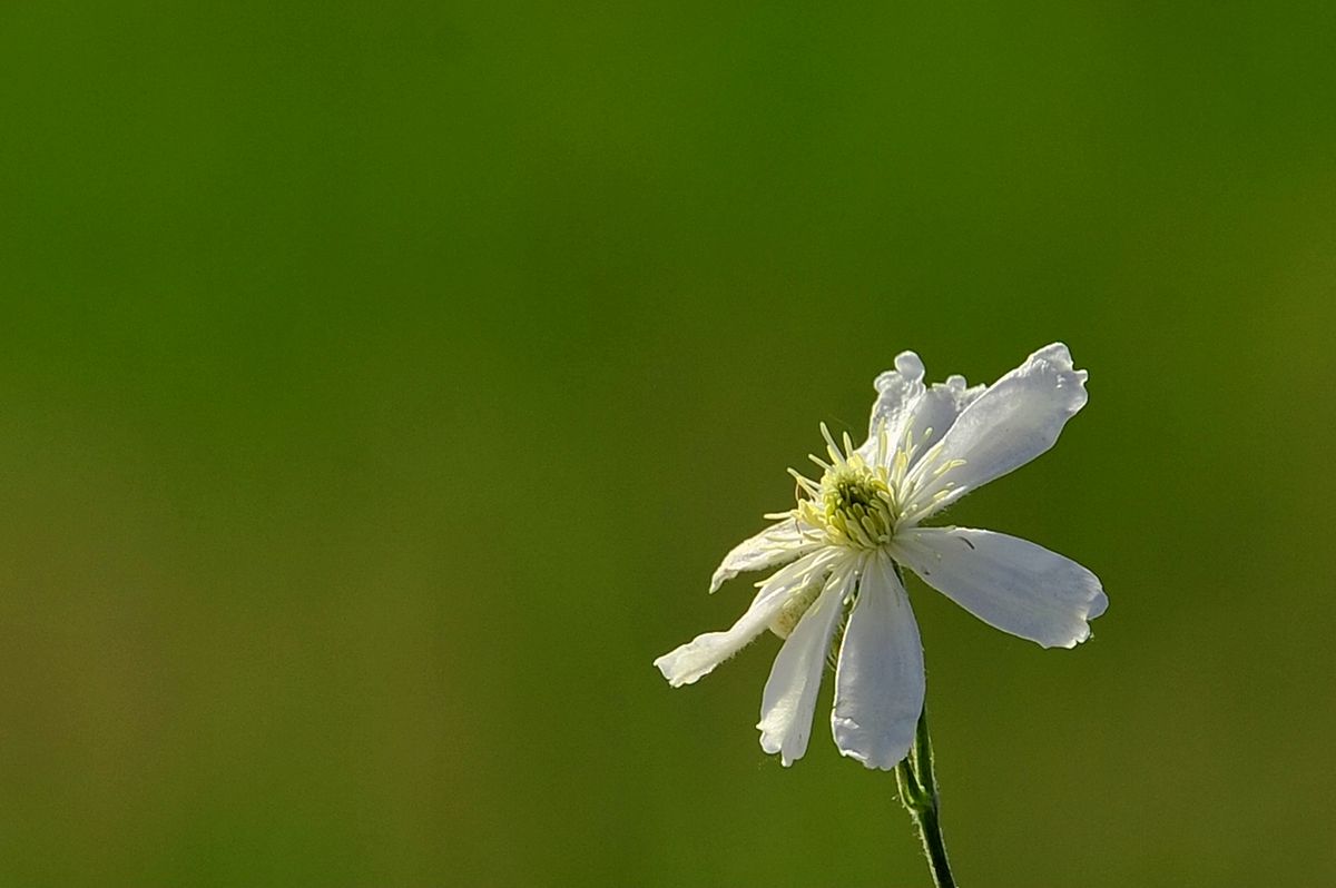 _DSC8553.JPG