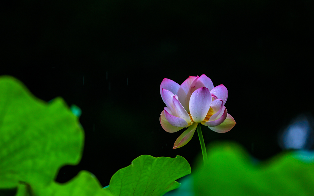 20160628-HG2A0284.jpg