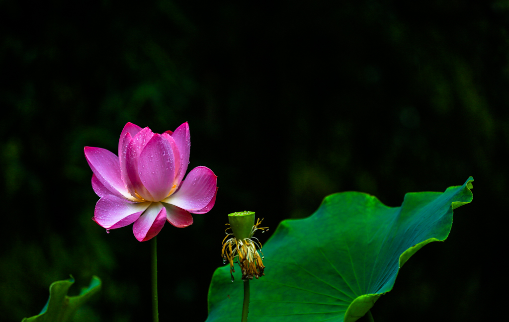 20160628-HG2A9968.jpg
