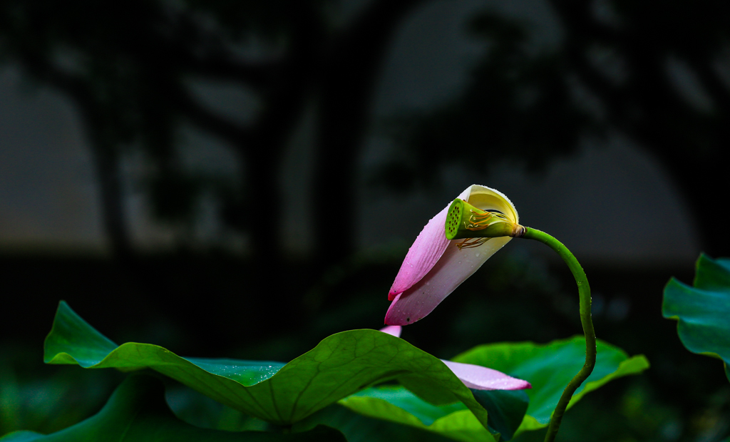 20160628-HG2A0237.jpg