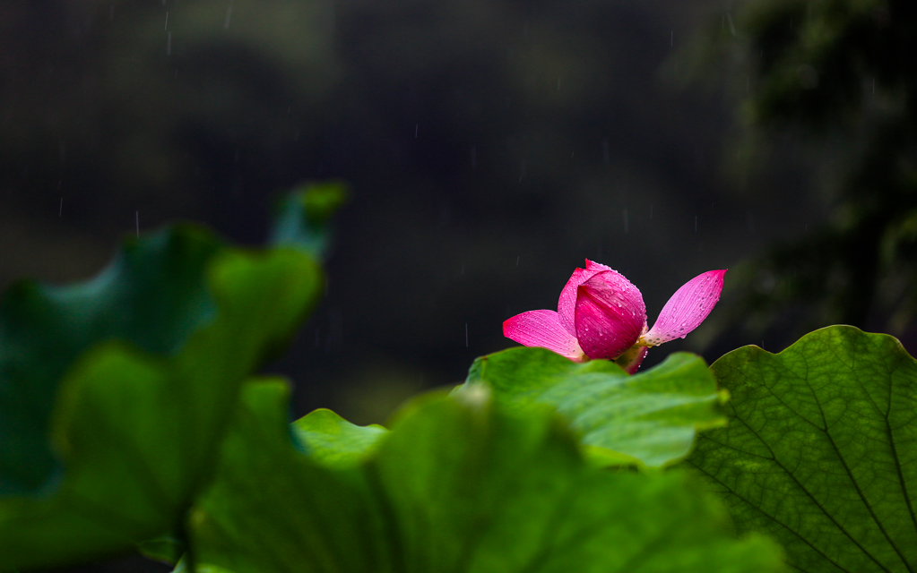 20160628-HG2A9980.jpg