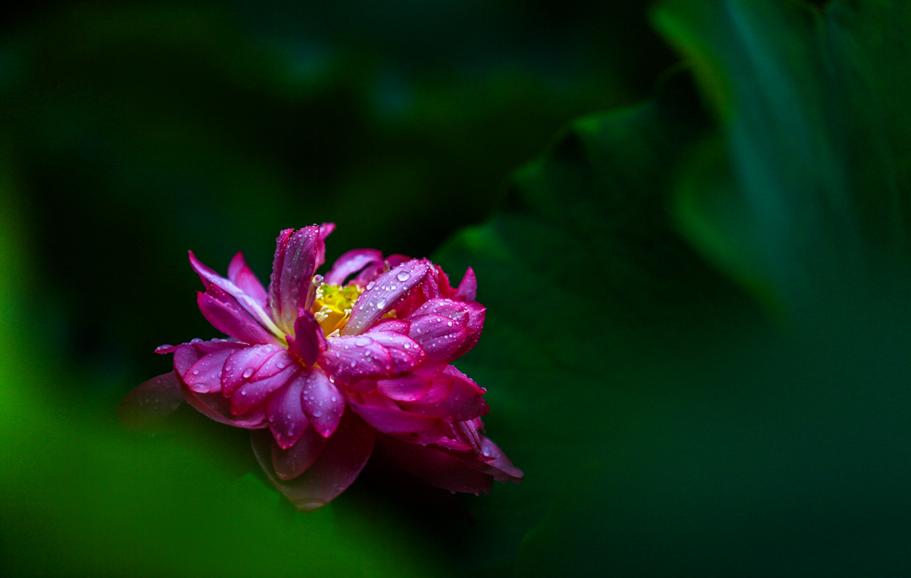 20160628-HG2A9976.jpg