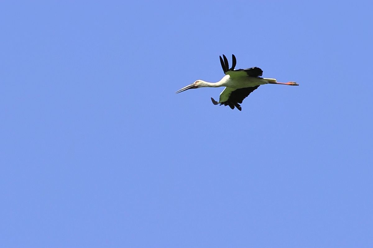 _DSC9190.JPG