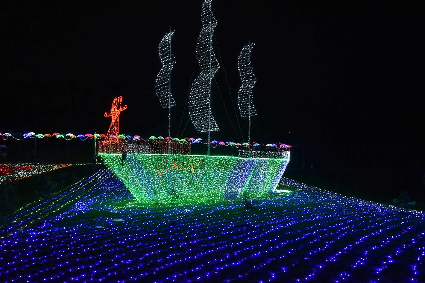 DSC_7661.jpg