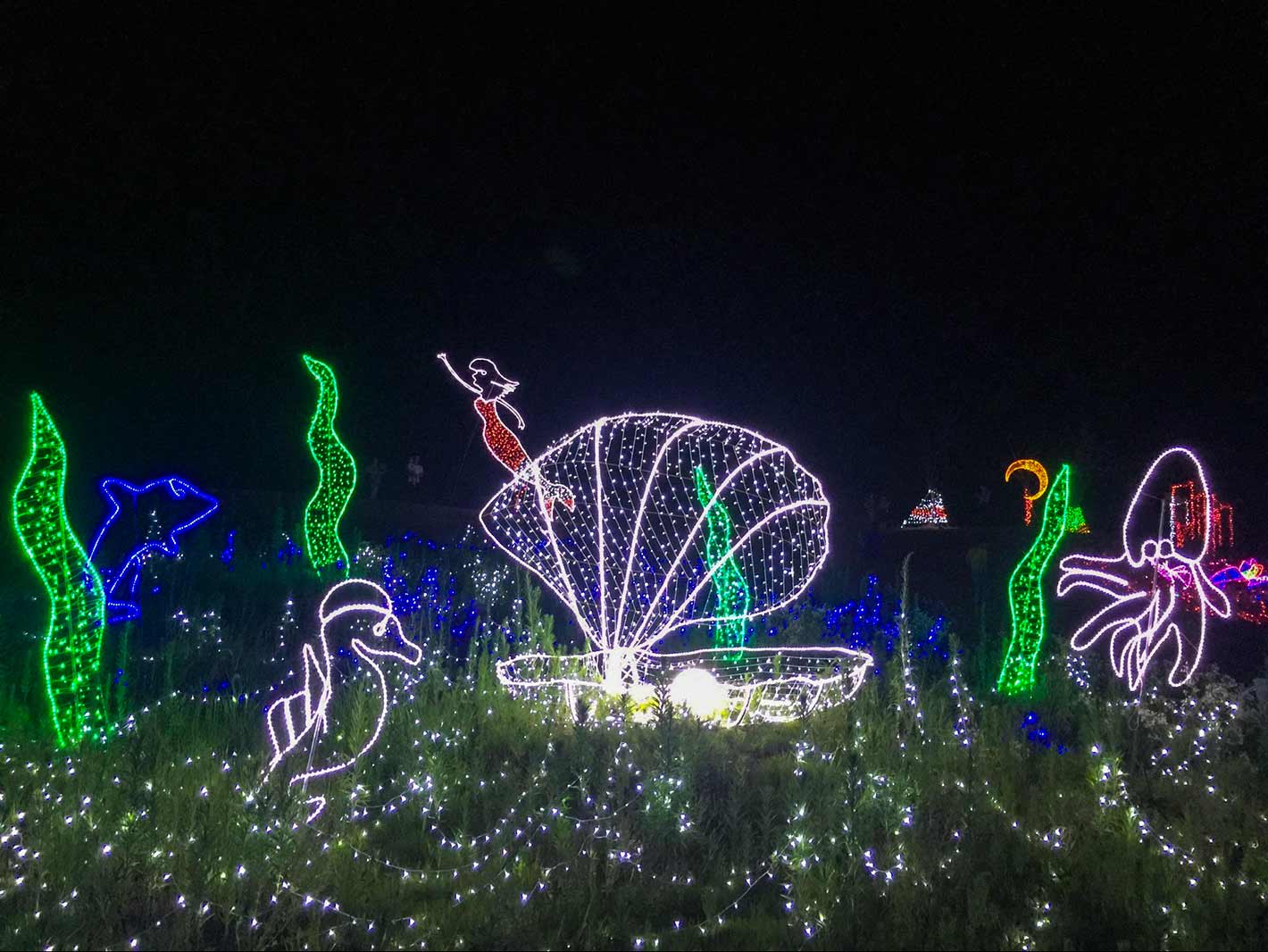 QQ图片20160630221829.jpg