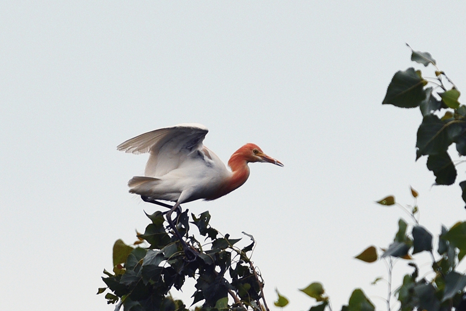 DSC_0236_3.jpg