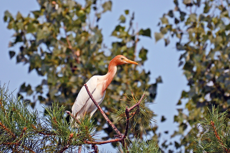 DSC_3062_3.jpg