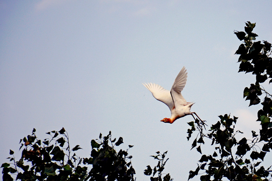 DSC_3115_3.jpg