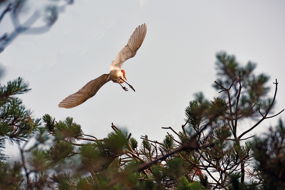 DSC_9925_3.jpg