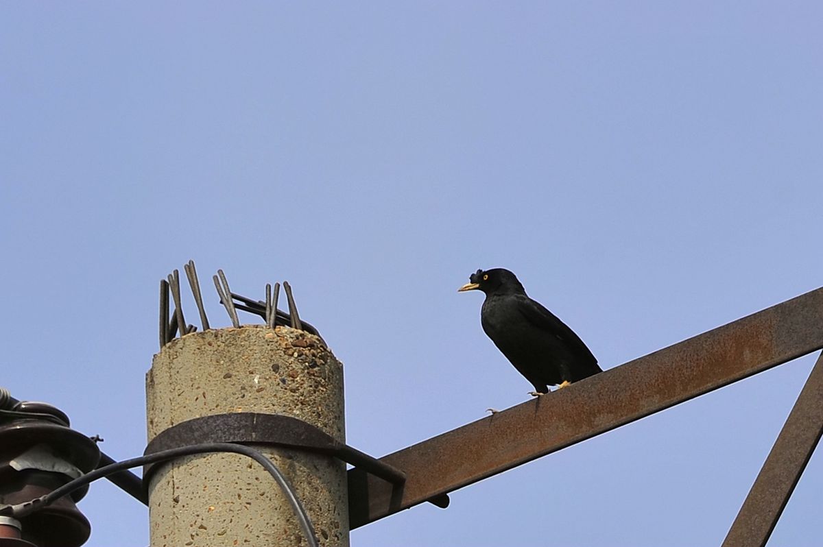 _DSC9963.JPG