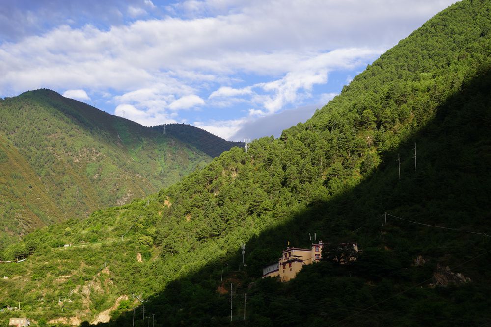 DSC08254_副本.jpg