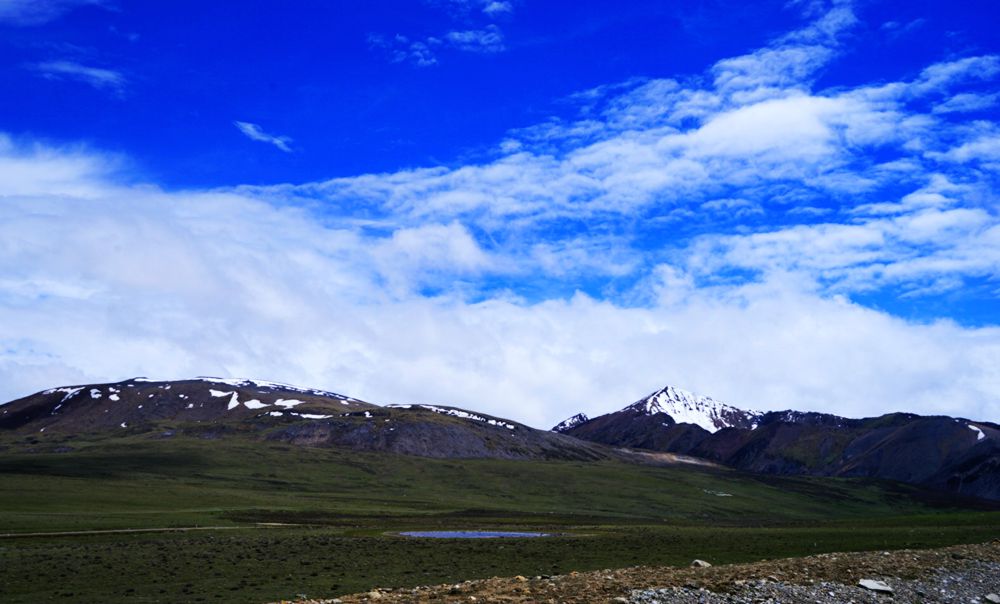 DSC08508_副本.jpg