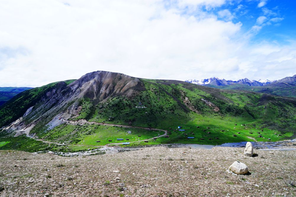 DSC08515_副本.jpg