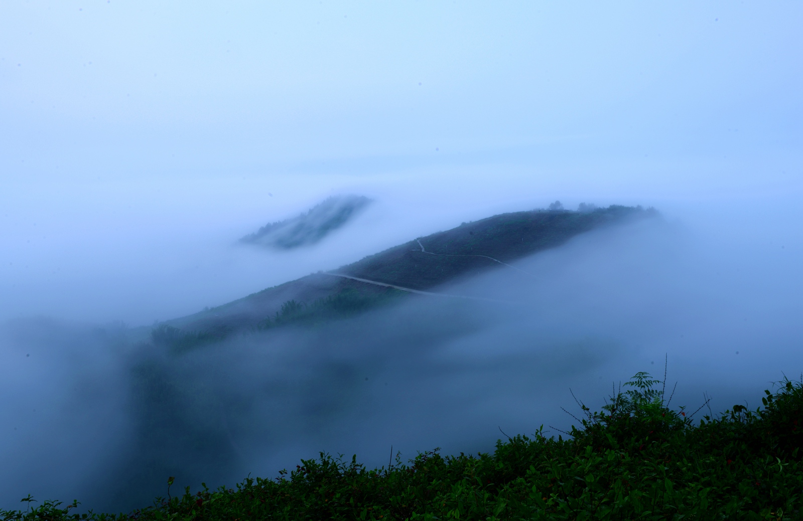 DSC_1293.JPG
