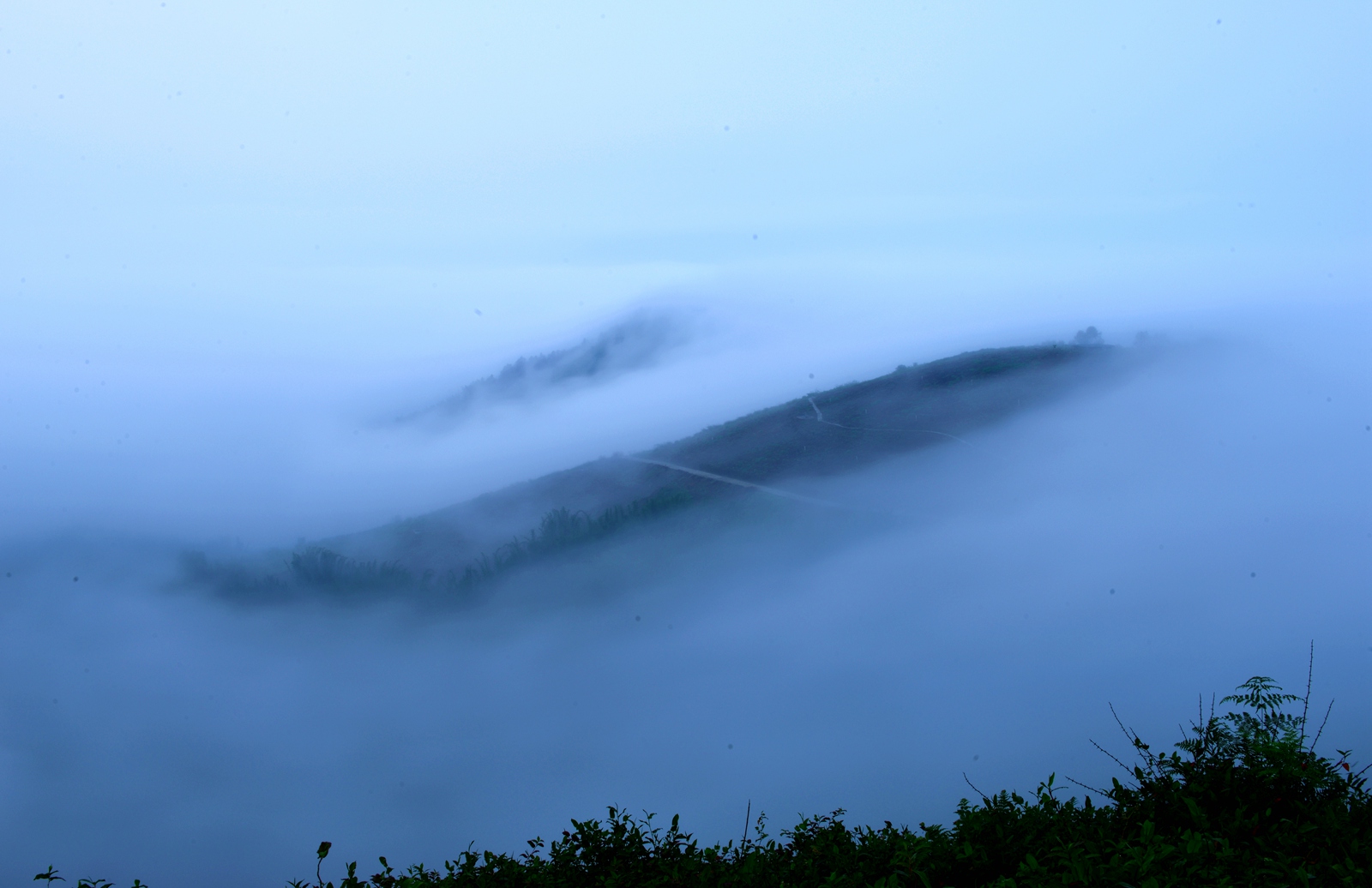 DSC_1295.JPG