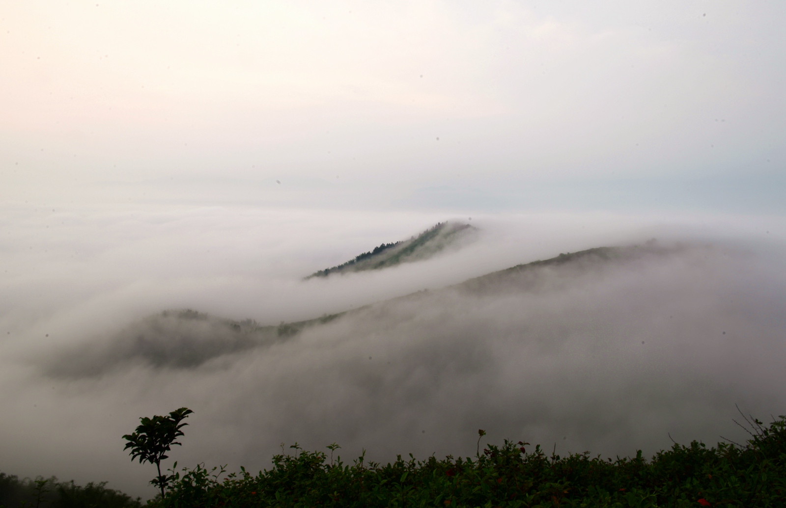 DSC_1330.JPG