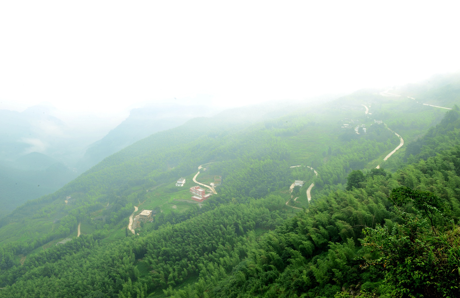 DSC_1375.JPG
