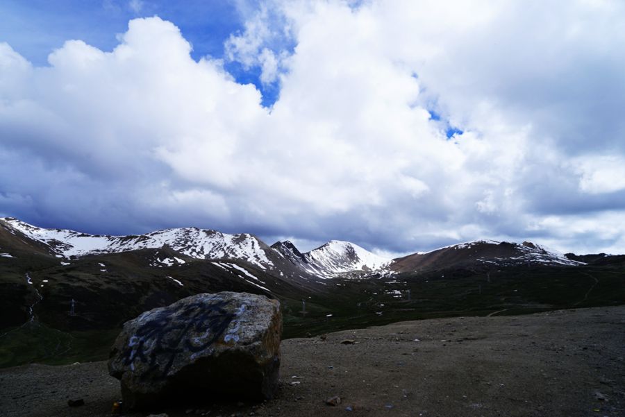 DSC08724_副本.jpg