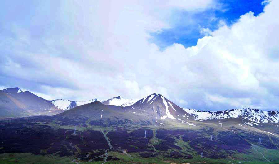 DSC08715_副本.jpg