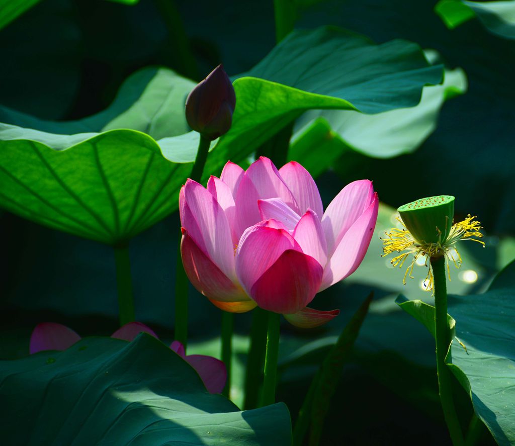 DSC_3580_副本.jpg