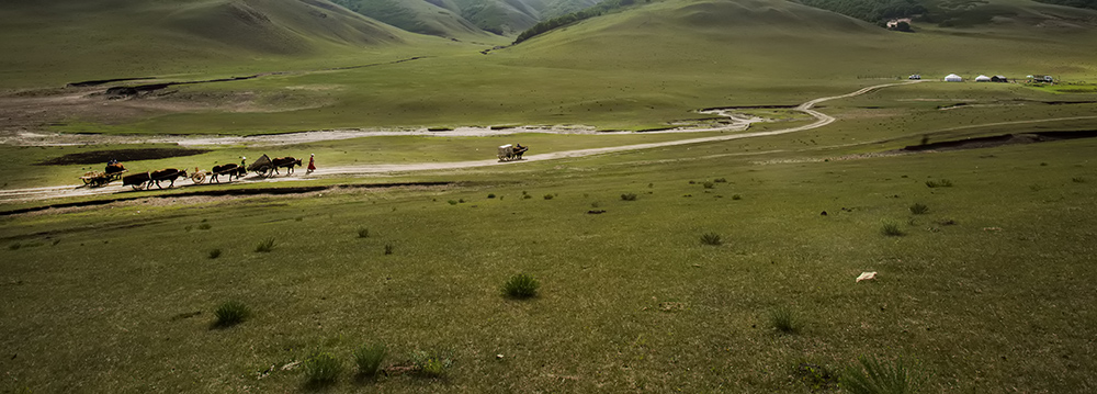 _B6A5679-0.jpg