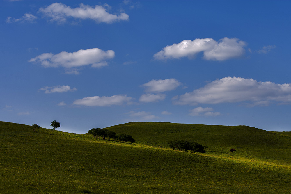 _I2G1707-0.jpg