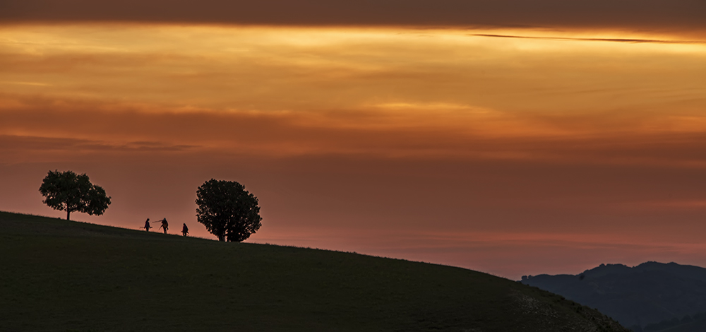 _B6A6904-0.jpg
