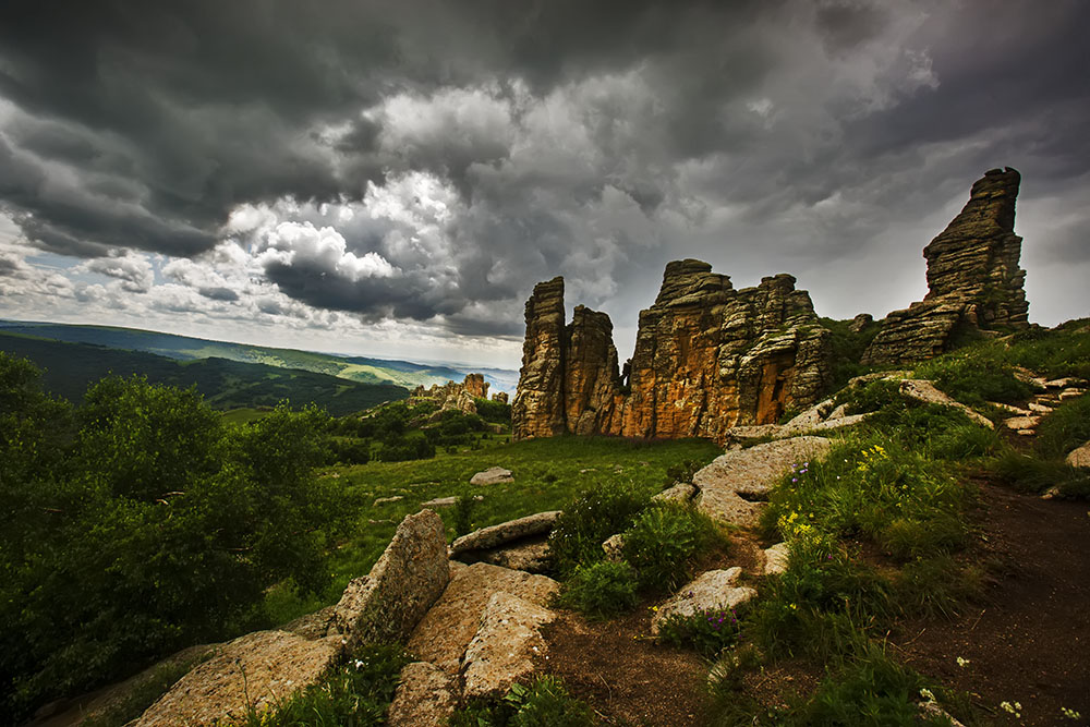 _B6A6246-0.jpg