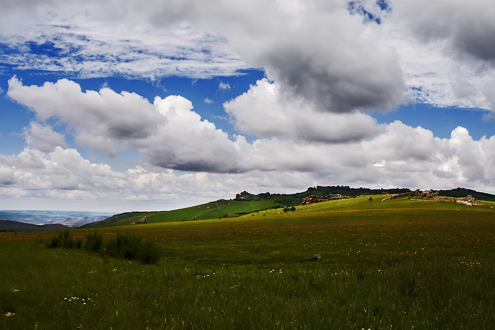 _I2G1503-0.jpg