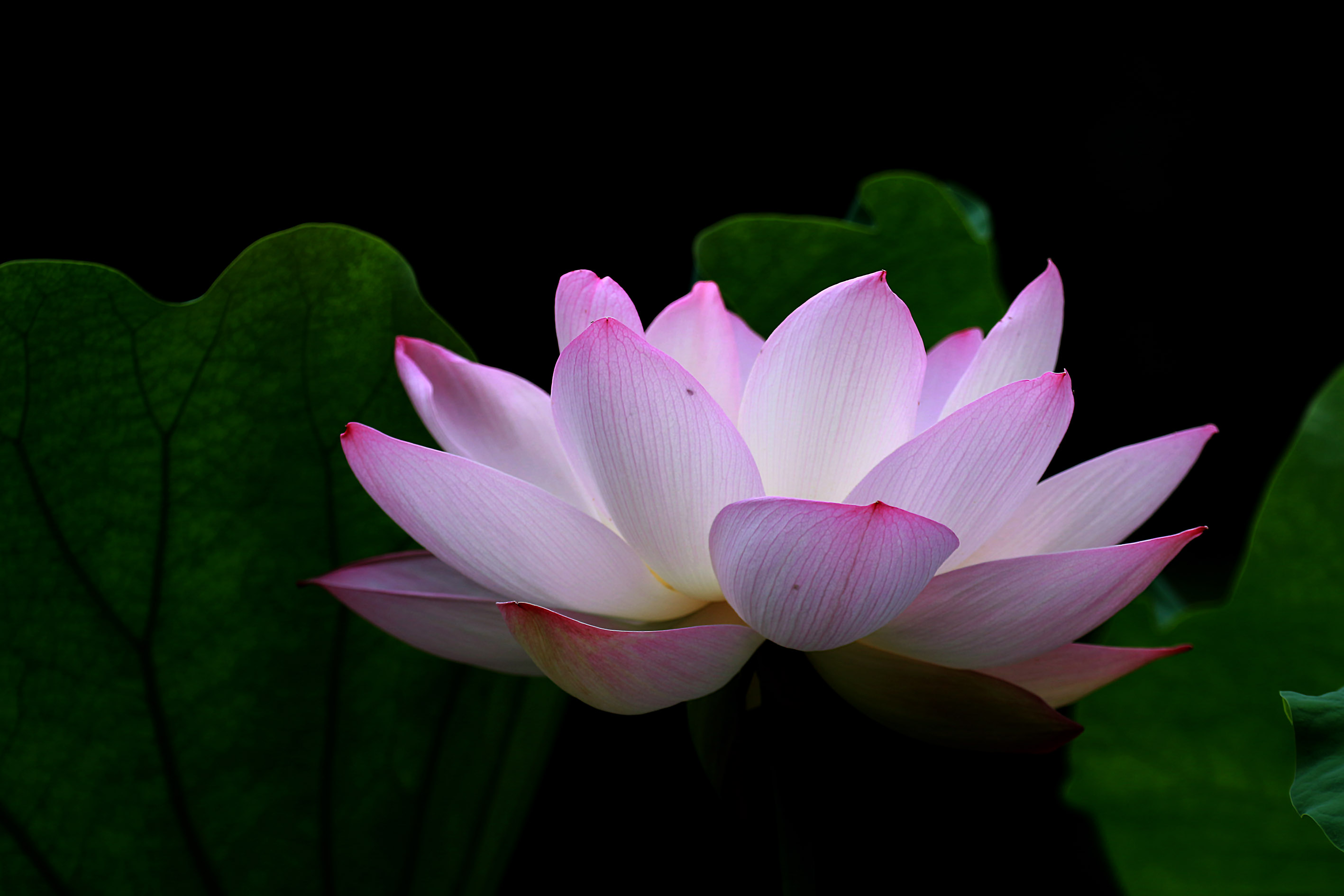 009A8980.jpg