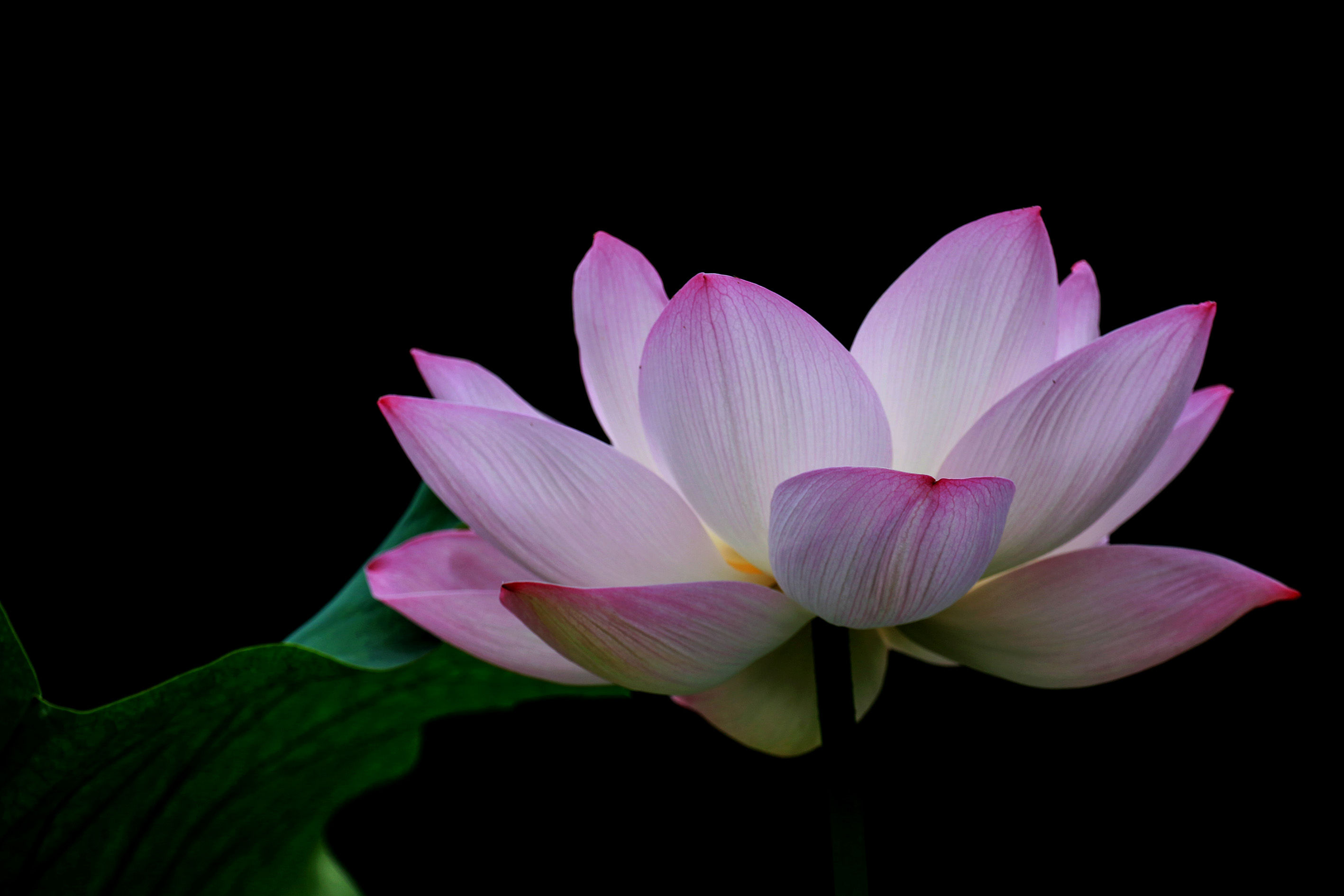 009A8983.jpg