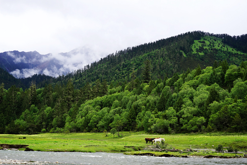 DSC09313_副本.jpg