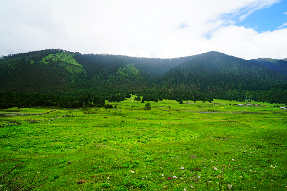DSC09328_副本.jpg