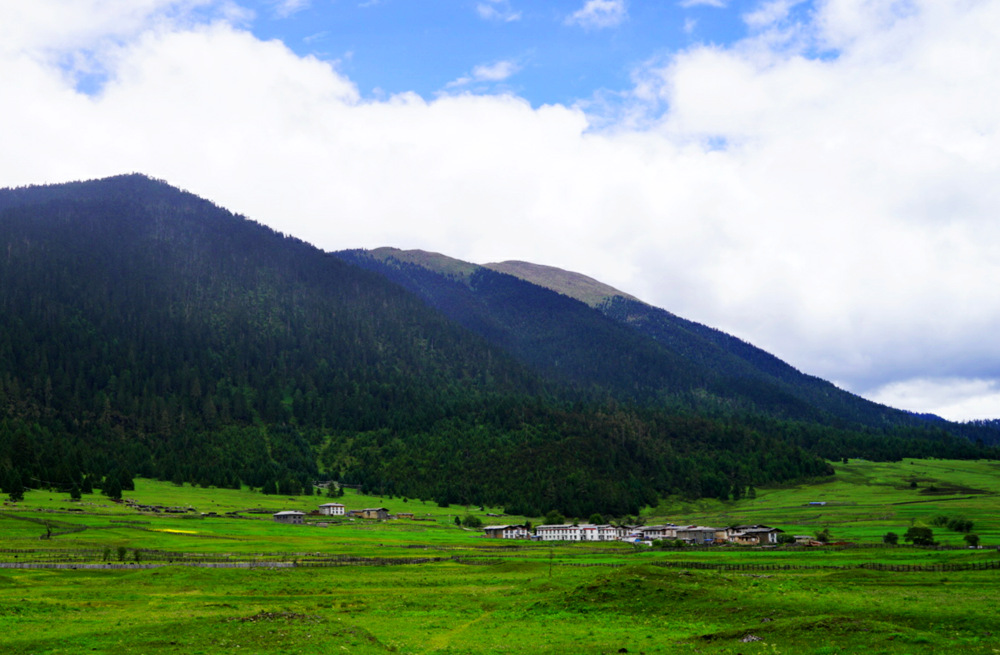 DSC09330_副本.jpg