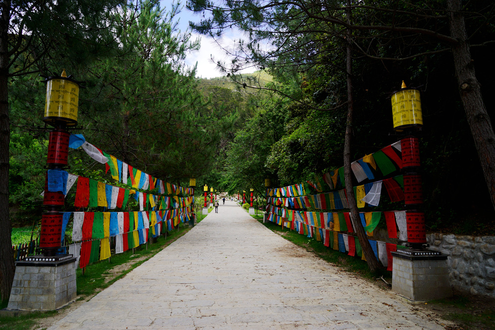 DSC09514_副本.jpg
