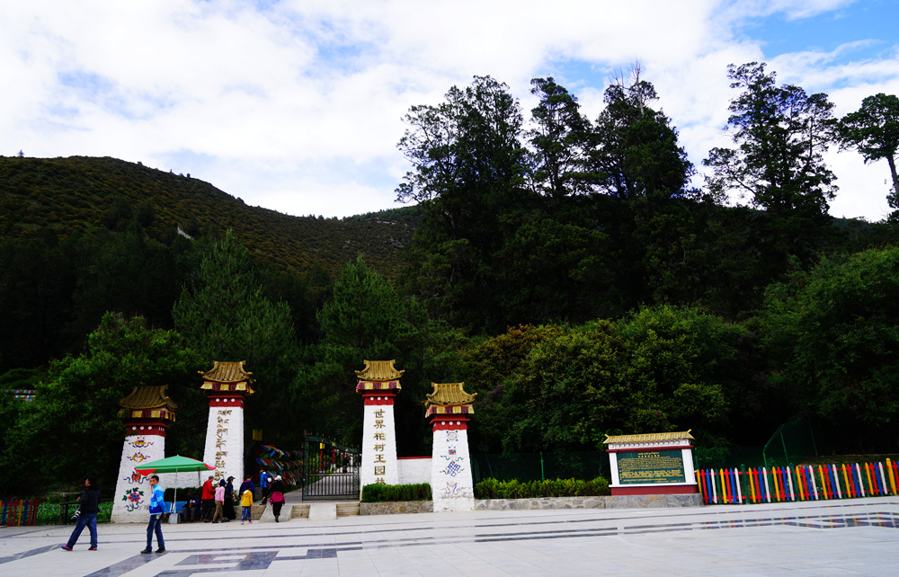 DSC09511_副本.jpg