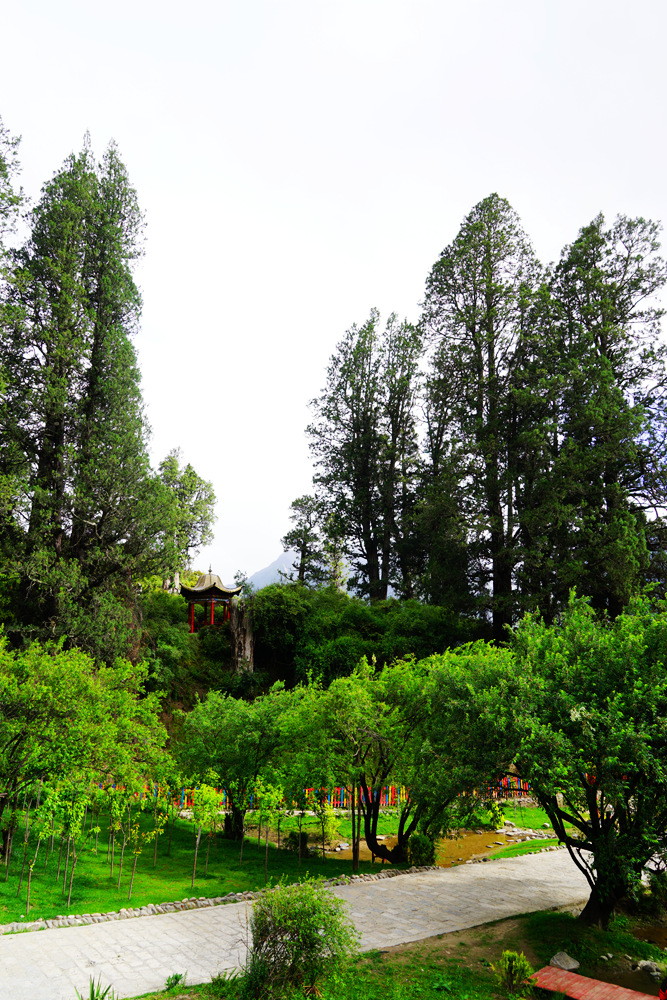 DSC09551_副本.jpg