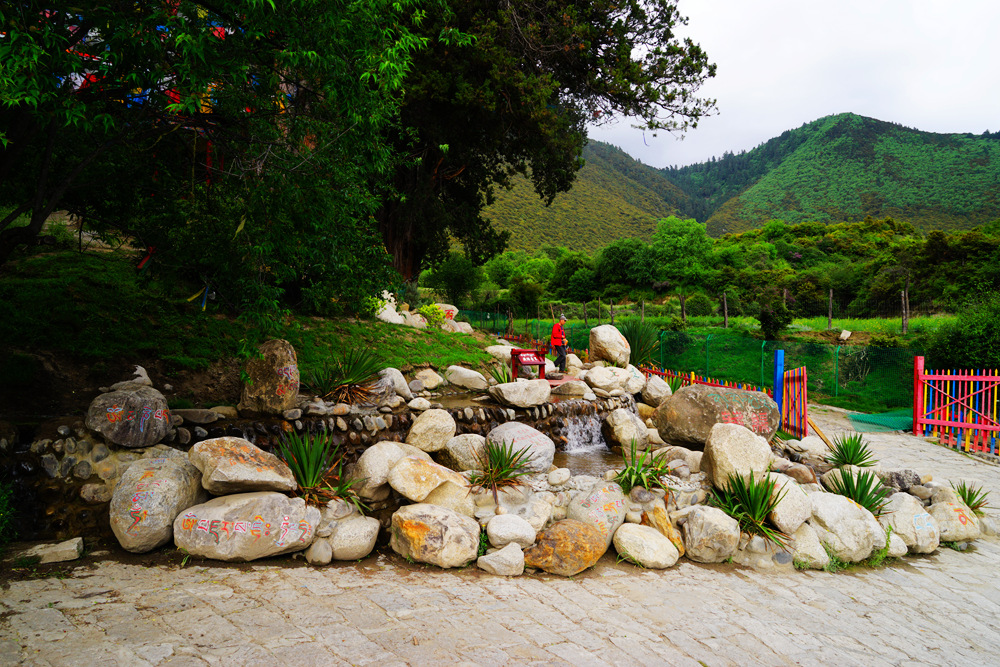 DSC09555_副本.jpg