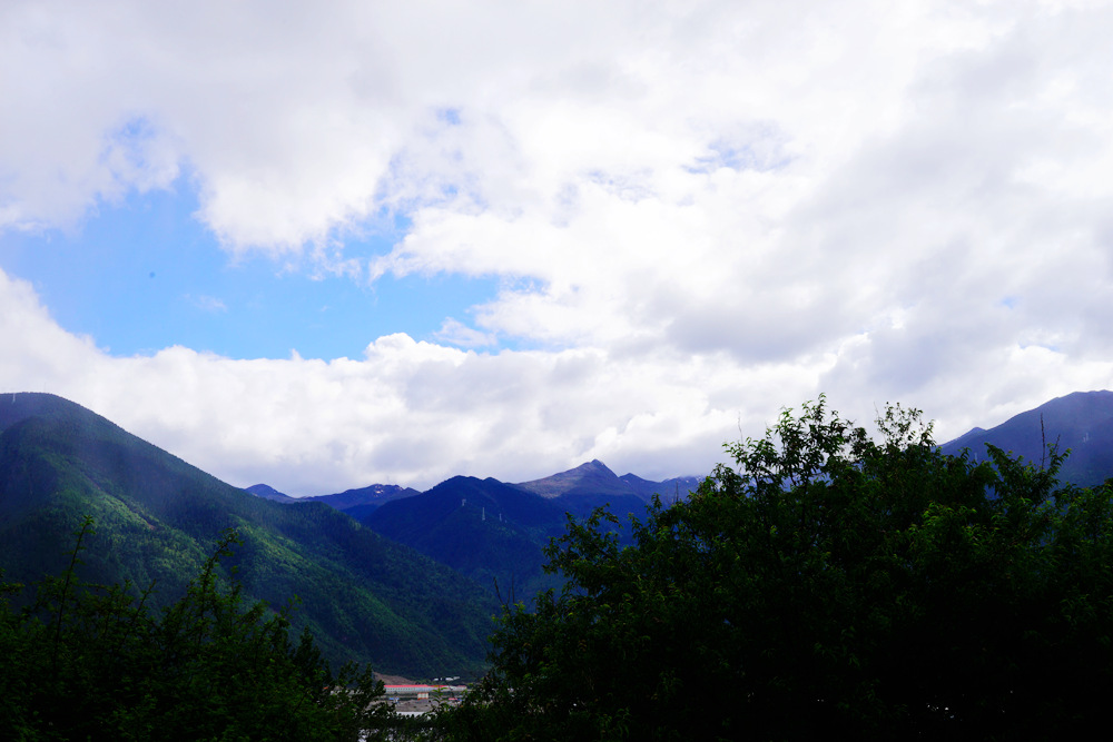 DSC09543_副本.jpg