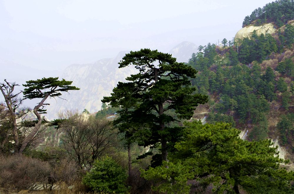 DSC_0656_副本.jpg