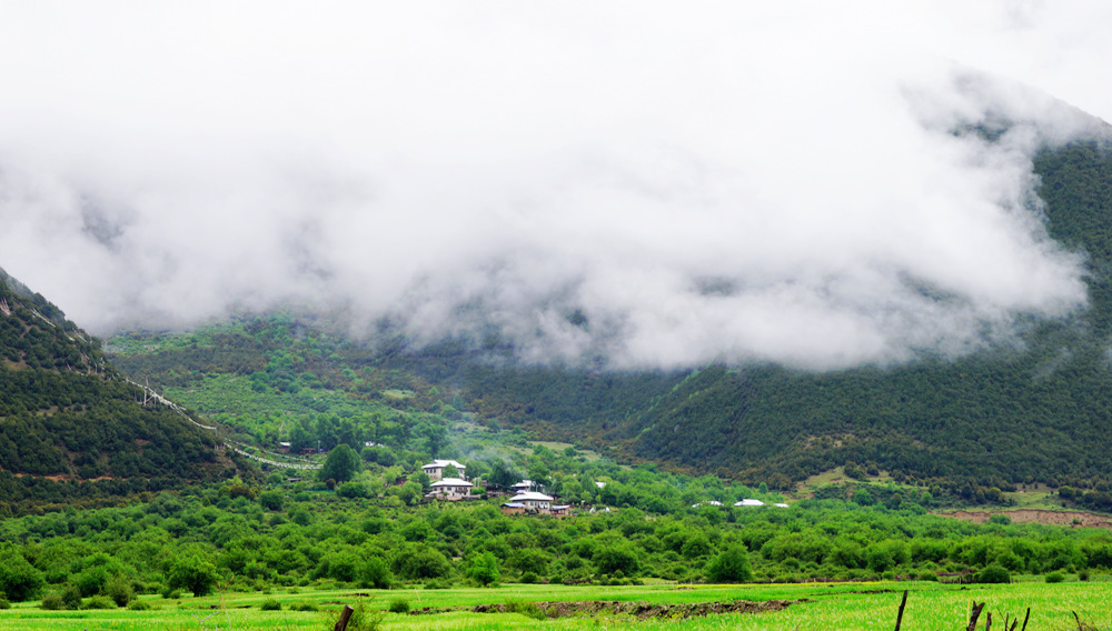 DSC09870_副本.jpg
