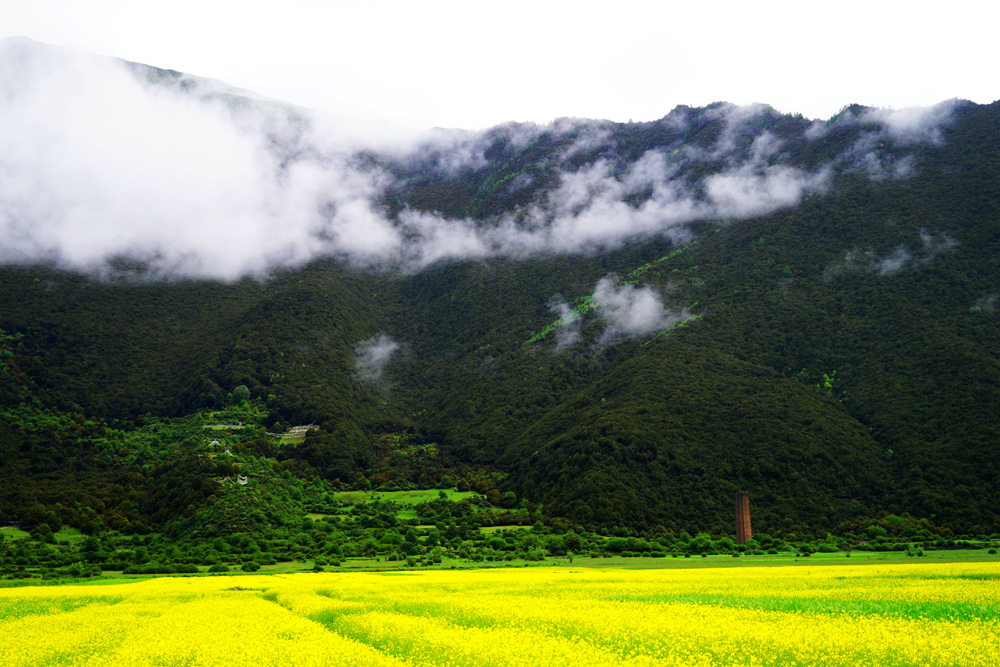 DSC09855_副本.jpg