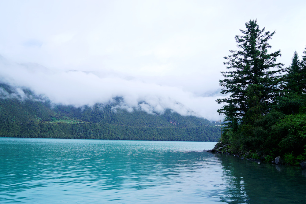 DSC09907_副本.jpg
